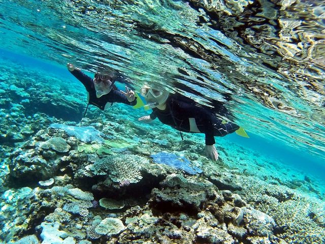 �������񉫓�E�c�Ǌԏ����G���A���R�~�N�ԃ����L���O7�N�A����P�ʁ��}������厏�Ń��[�U�[�]��11�N�A����P�ʁ�_�}�����N���u �x���[ �ߔe�X