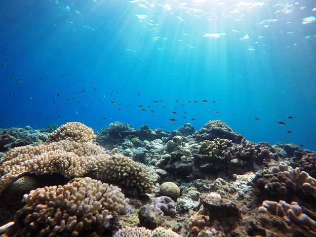 �������񉫓�E�c�Ǌԏ����G���A���R�~�N�ԃ����L���O7�N�A����P�ʁ��}������厏�Ń��[�U�[�]��11�N�A����P�ʁ�_�}�����N���u �x���[ �ߔe�X