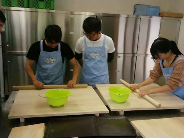 �ψ�ɐL�΂��̂ɐ^���B_�̌���y���@���c�_