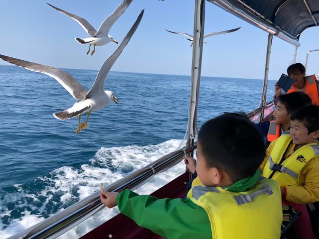 �̓��A�@���M�O���X�{�[�g