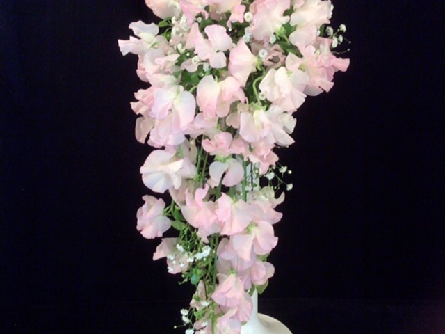 �����ԃ��b�X�����L���X�P�[�h�u�[�P��{_Premium Flowers �v���~�A�� �t�����[�Y�i�t�����[�f�U�C���X�N�[���j