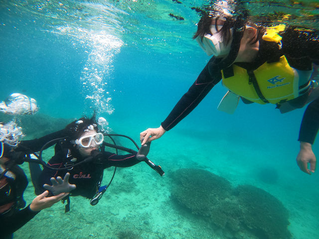 �V���m�[�P���Ƒ̌��_�C�r���O_����_�C�r���O�T�[�r�XLagoon�i���O�[���j