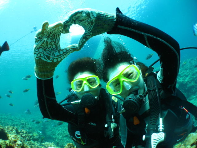 lovelove�_�C�r���O���X�Ɉ���[�߂ĉ������B_�{�C�X�v���X