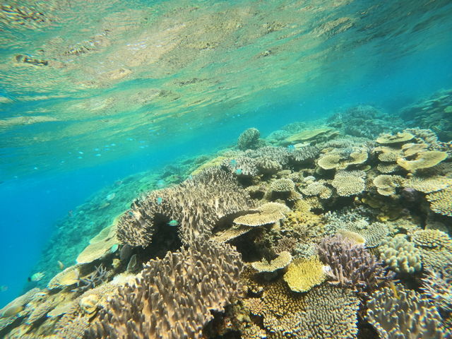 �T���S���炯�̐������E������܂���`�`�`���y���ݕ��͗l�X�Ł[���B_�{�C�X�v���X