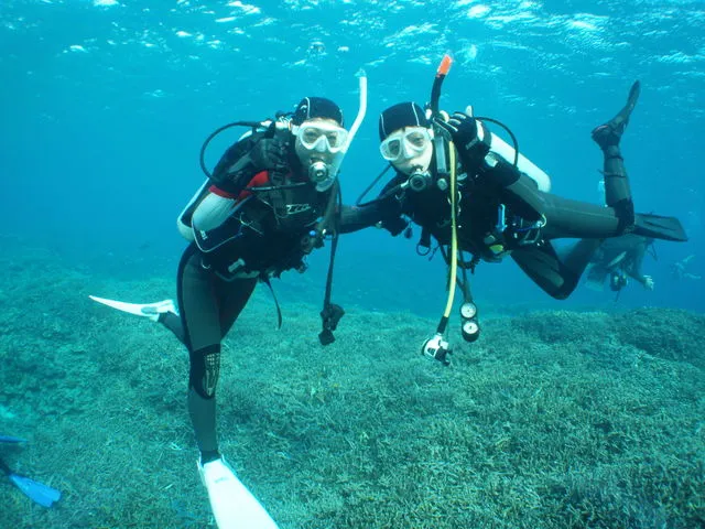 白浜海洋センターの割引プラン