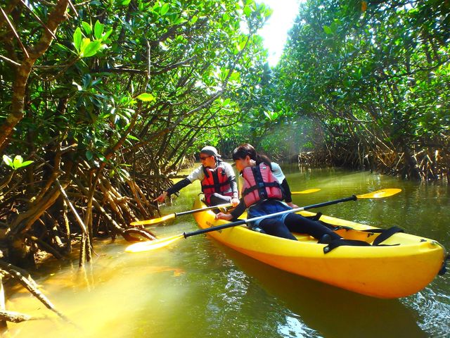 �}���O���[�u�J�k�[���ɐ����ώ@���o�����肷�邩���I_���΂鎩�R�m