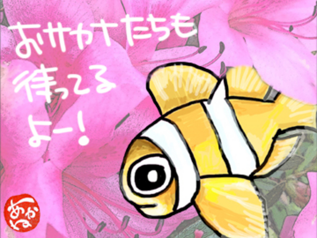 ���T�J�i�C���X�g���`���Ă܂��I�������ĕ\����ł���`�I_�}�����{�E