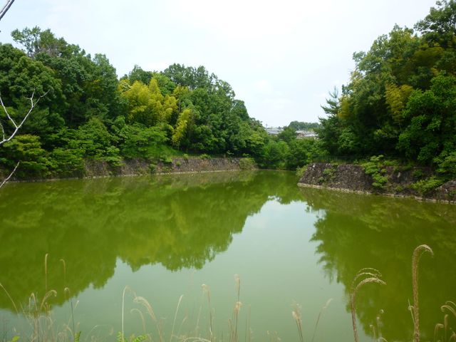 �i������