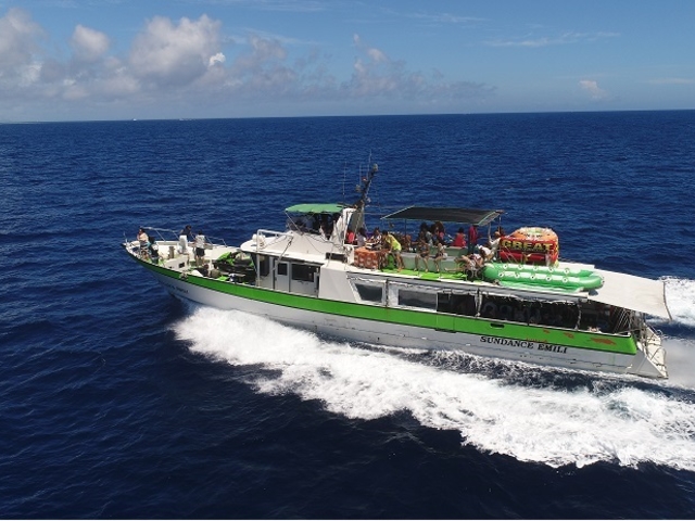 �����ő勉�̃T���_���X�G�~����_�J�C�U�[�}�����N���u