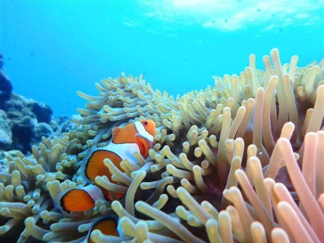 �V���m�[�P���ł���ɍs���܂��B_�J�C�U�[�}�����N���u