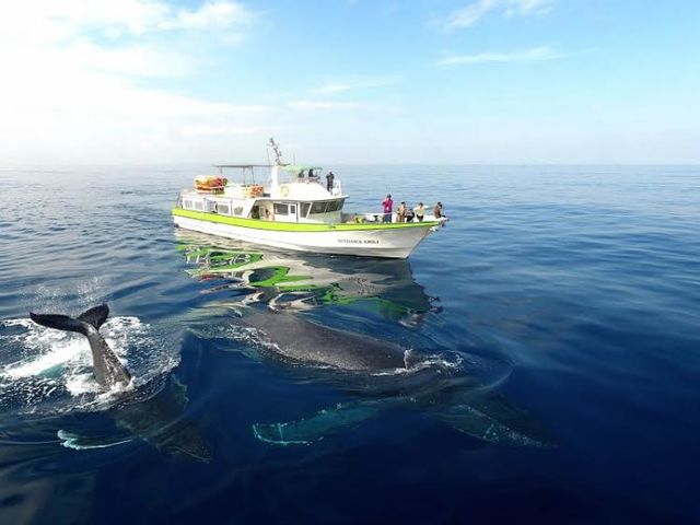 �^���܂ŗ��Ă���邱�Ƃ��`_�J�C�U�[�}�����N���u