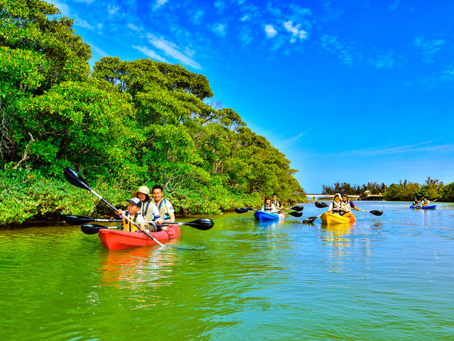 �t�@�~���[�F�Ŋy���߂�J���b�N�c�A�[_�`���� ���ꑍ���A�E�g�h�A�c�A�[���X