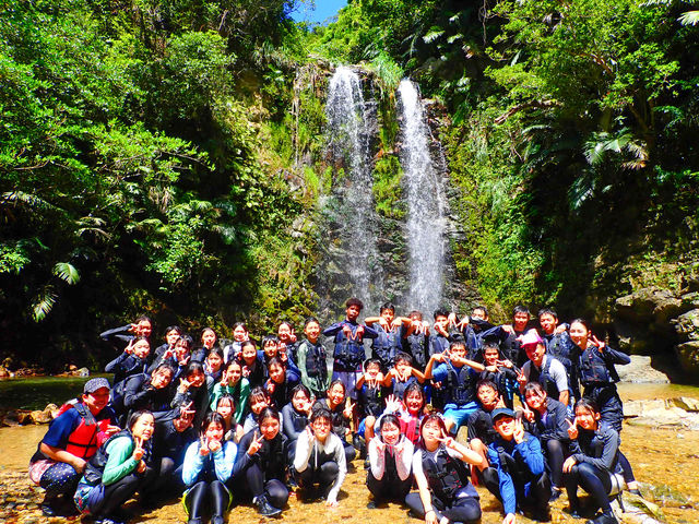 �c�̗l���Ή����іL�x�ł��B_�`���� ���ꑍ���A�E�g�h�A�c�A�[���X