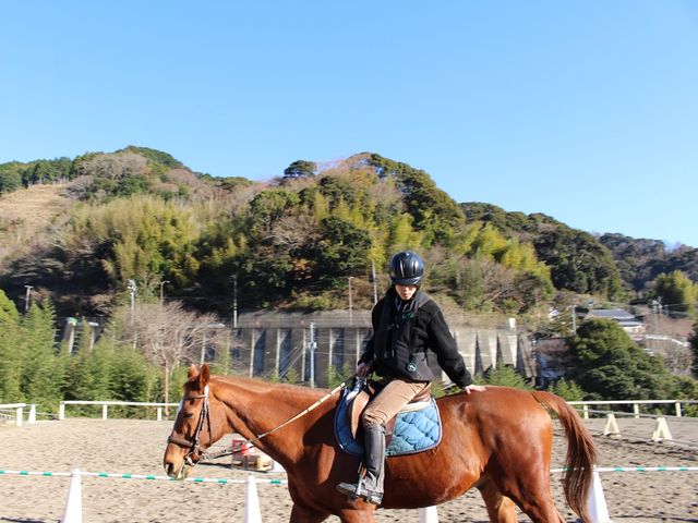 *��n�̌�/��{�ƂȂ�l�n�̏d�S�o�����X�Ǝp���̐������|�W�V�����������邽�߂ɁA�w���Ƀ^�b�`�I_�ɓ��̏�n�N���u�V��z�[�X�r���b�W