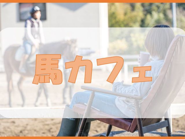 *�n�J�t�F�C���[�W_�ɓ��̏�n�N���u�V��z�[�X�r���b�W