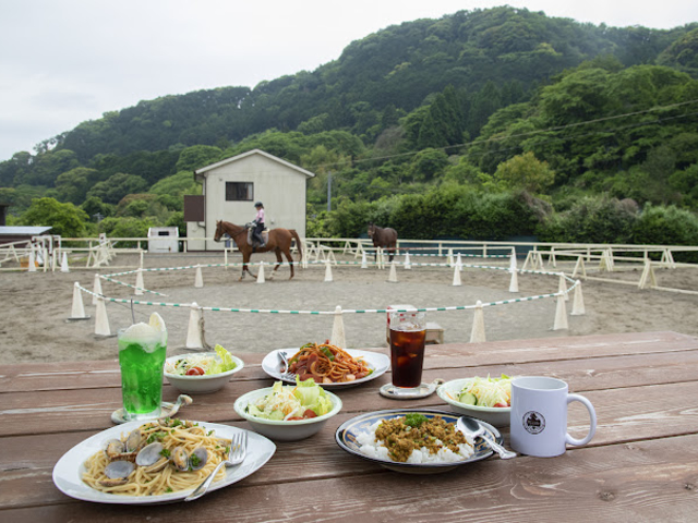 *�V��z�[�X�r���b�W�ł͓y�A���A�j���̃����`�^�C���ɃJ�t�F���c�Ƃ��Ă��܂��B_�ɓ��̏�n�N���u�V��z�[�X�r���b�W