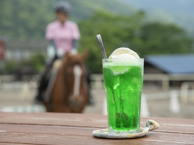 *�L���L���ɗ₦���������\�[�_�t���[�g�i500�~�j�B_�ɓ��̏�n�N���u�V��z�[�X�r���b�W