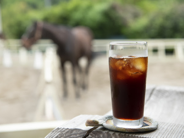 *�}�V�[�����g�킸�A��t�Â̔҂����ăR�[�q�[�i350�~�`�j�B_�ɓ��̏�n�N���u�V��z�[�X�r���b�W