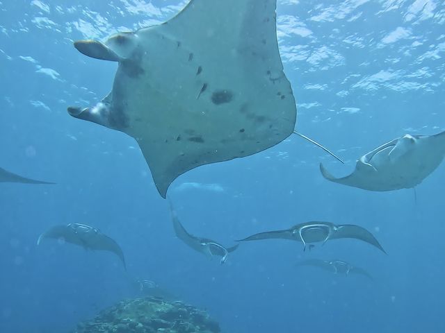 �}���^���������{��_�g���\�[���}�����V���b�v