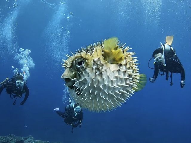 �g���\�[���}�����V���b�v