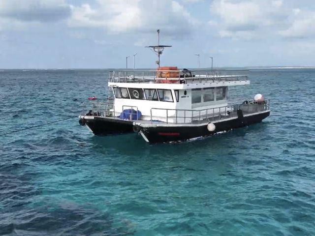 �n�b�N���E�x���[��50�l���̑�^�D_�g���\�[���}�����V���b�v