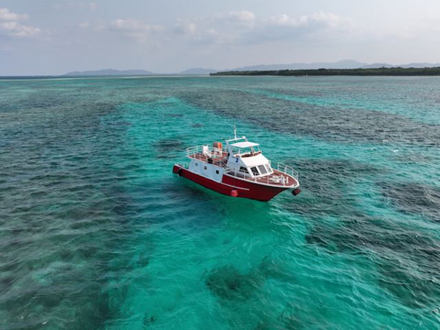 �g���g����39�l���̑�^�D_�g���\�[���}�����V���b�v