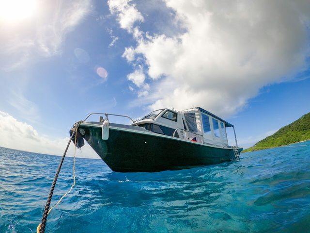 �W���[�����̓��ɏ㗤�o���܂�_�g���\�[���}�����V���b�v