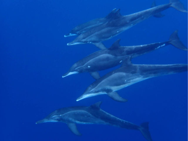 �R�R�i�b�c�Ί_��