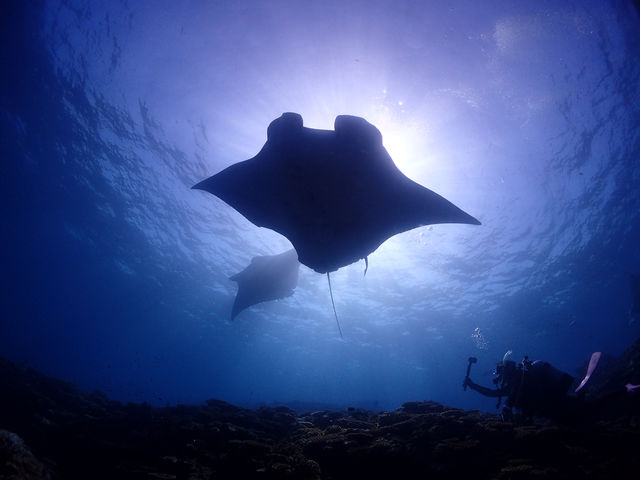 �R�R�i�b�c�Ί_��