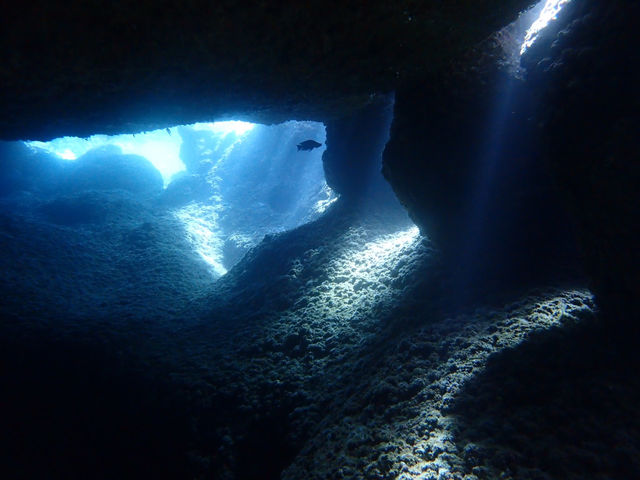 �R�R�i�b�c�Ί_��