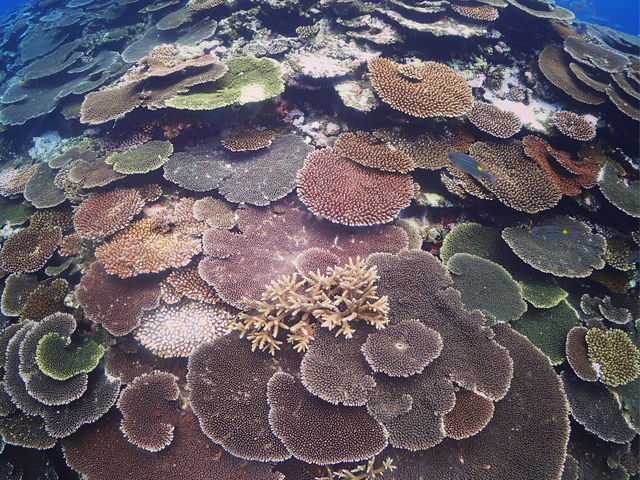 �R�R�i�b�c�Ί_��