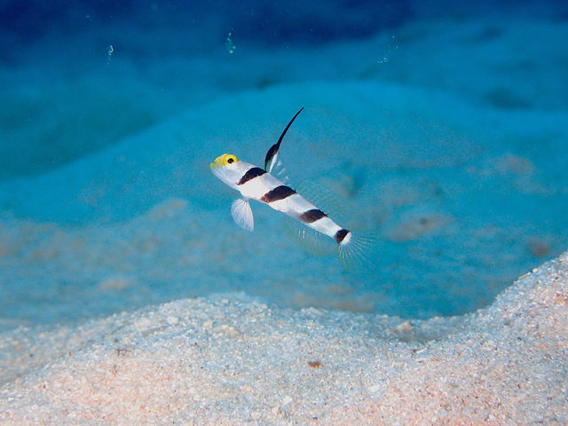 �R�R�i�b�c�Ί_��