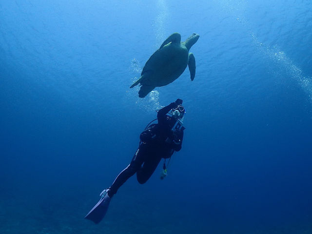 �R�R�i�b�c�Ί_��