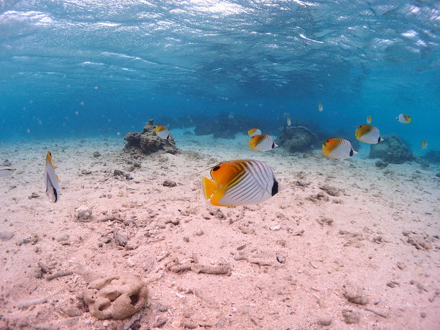 �R�R�i�b�c�Ί_��