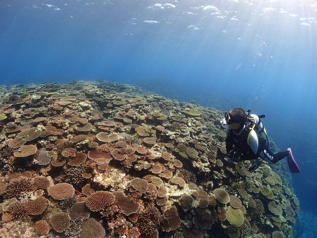 �R�R�i�b�c�Ί_��