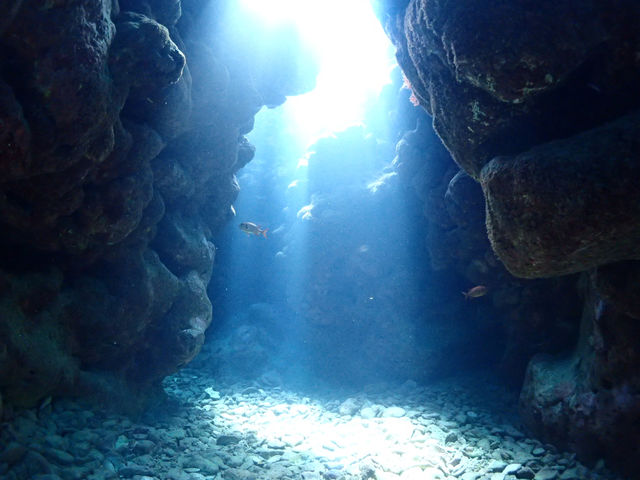 �R�R�i�b�c�Ί_��