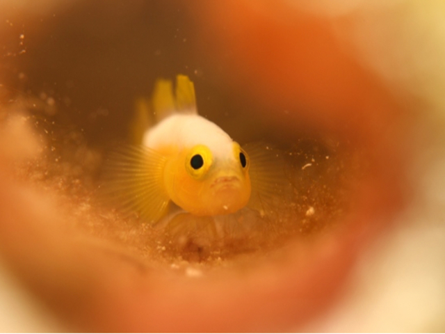 �R�R�i�b�c�Ί_��