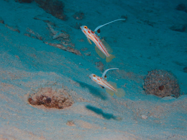 �R�R�i�b�c�Ί_��