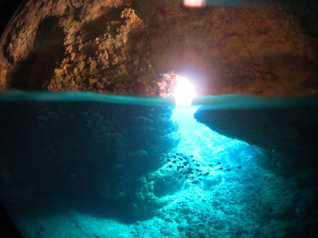 �������񉫓�E�̓��A�G���A���R�~�N�ԃ����L���O��1�ʃV���b�v��_�}�����T�[�r�X�ނ�ʁ[��