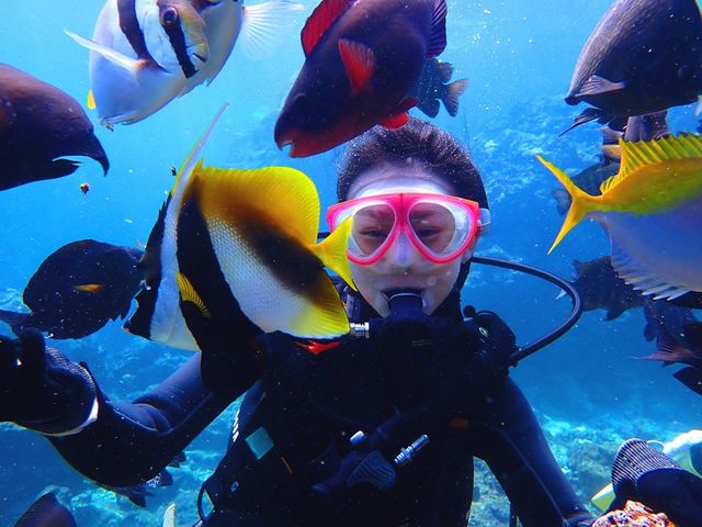 ���M�ы��Ɉ͂܂�闳�{��̌���_�}�����T�[�r�X�ނ�ʁ[��