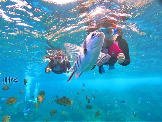 ���M�ы��Ɉ͂܂�闳�{��̌���_�}�����T�[�r�X�ނ�ʁ[��