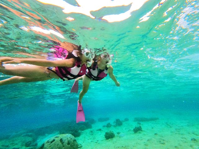 ���l���Ɉ�x�͌��Ă��炢�����u��i�̐v��_�}�����T�[�r�X�ނ�ʁ[��