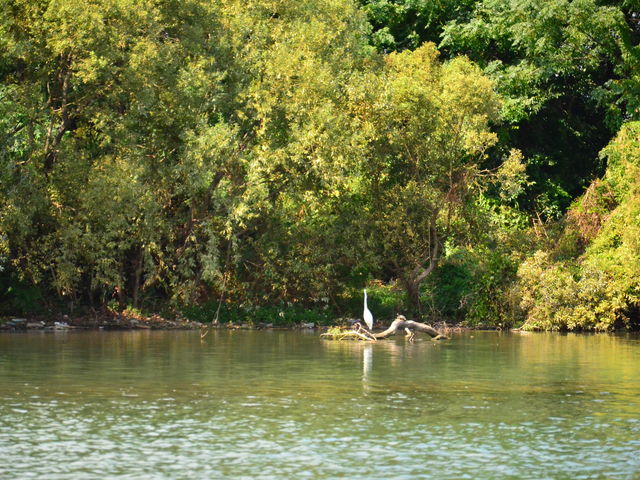 ����ɐ��ނ����Ȑ����ɏo��邩���B_�h��I�I����̏M�^�@���R�[�X