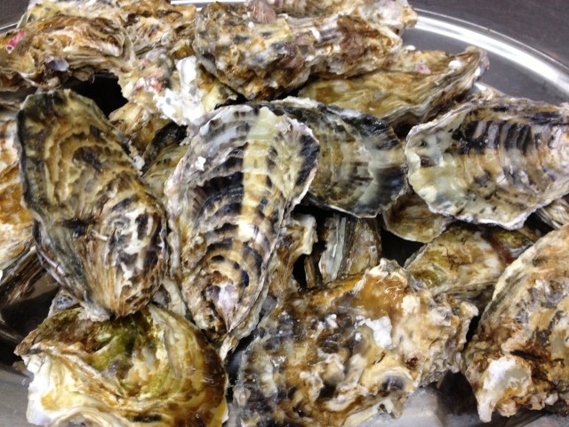 �܂߂��낤�̕l�Ă�����