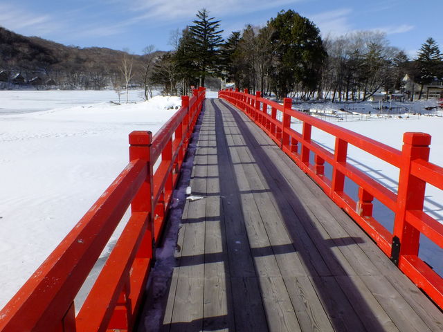 �~�G�X�m�[�V���[�c�A�[_�O���[���f�B�X�J�o���[�@�ԏ�