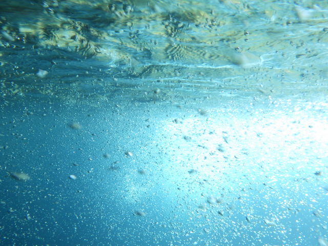 �L���j�I�j���O�I
�l������ōs�Ȃ��Ă���܂�_�O���[���f�B�X�J�o���[�@�ԏ�