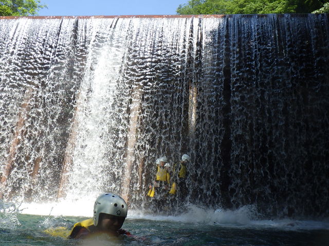 �L���j�I�j���O�I
�l������ōs�Ȃ��Ă���܂�_�O���[���f�B�X�J�o���[�@�ԏ�