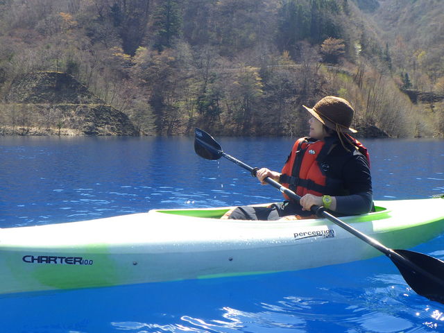 �J�k�[�c�A�[
�l������ōs�Ȃ��Ă���܂�_�O���[���f�B�X�J�o���[�@�ԏ�