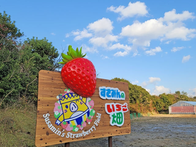 �ʐ^�X�|�b�g_��I�����݉���@�z�e���@�x�����F�f�[��