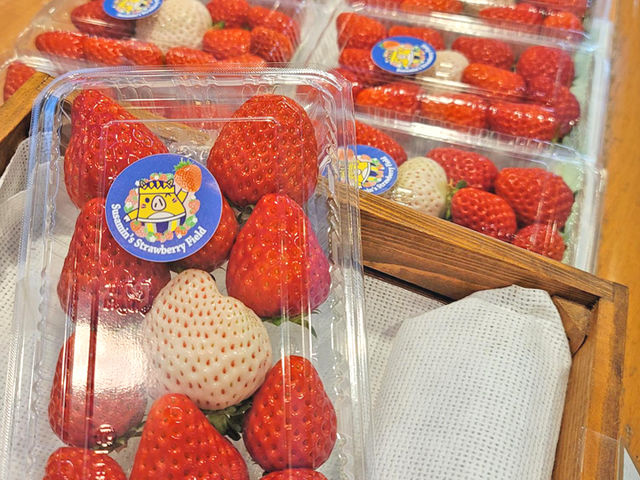 ��I�����݉���@�z�e���@�x�����F�f�[��